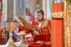 img 49942