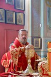 img 49943