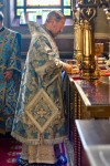 img 50143