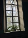 img 51175