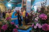 img 15769