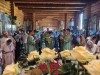 img 43842
