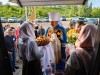 img 43873