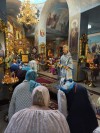 img 44031