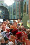 img 7782