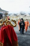 img 8884